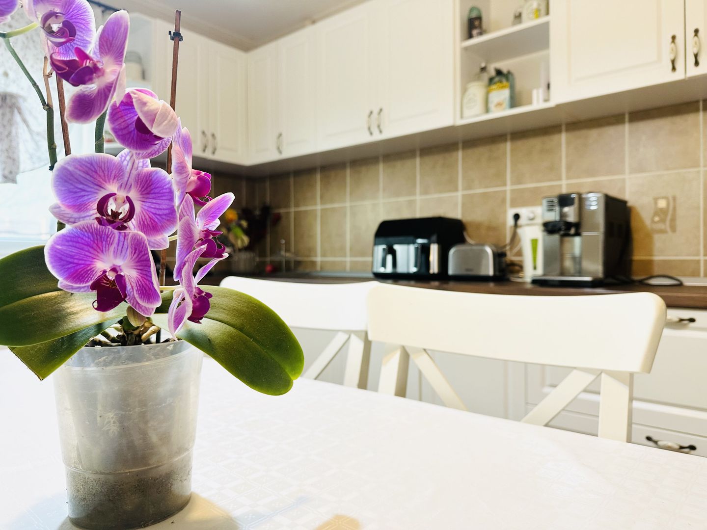 Vila individuala Sacalaz | 5 camere 191 mp, teren 503 mp | Comision 0% - Poză 6