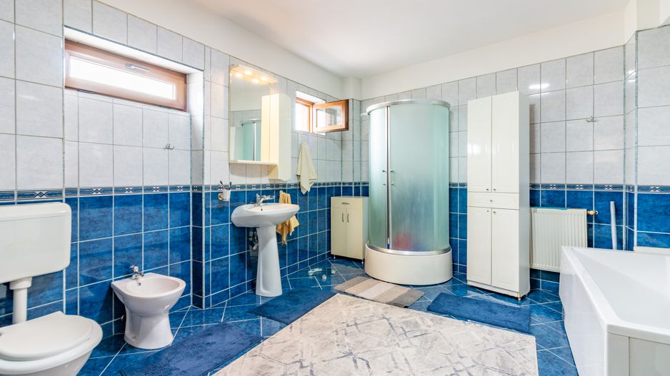 Inchiriere Cladire P+1+M Apusului, 433mp, Curte 900mp, Parcare - Poză 14