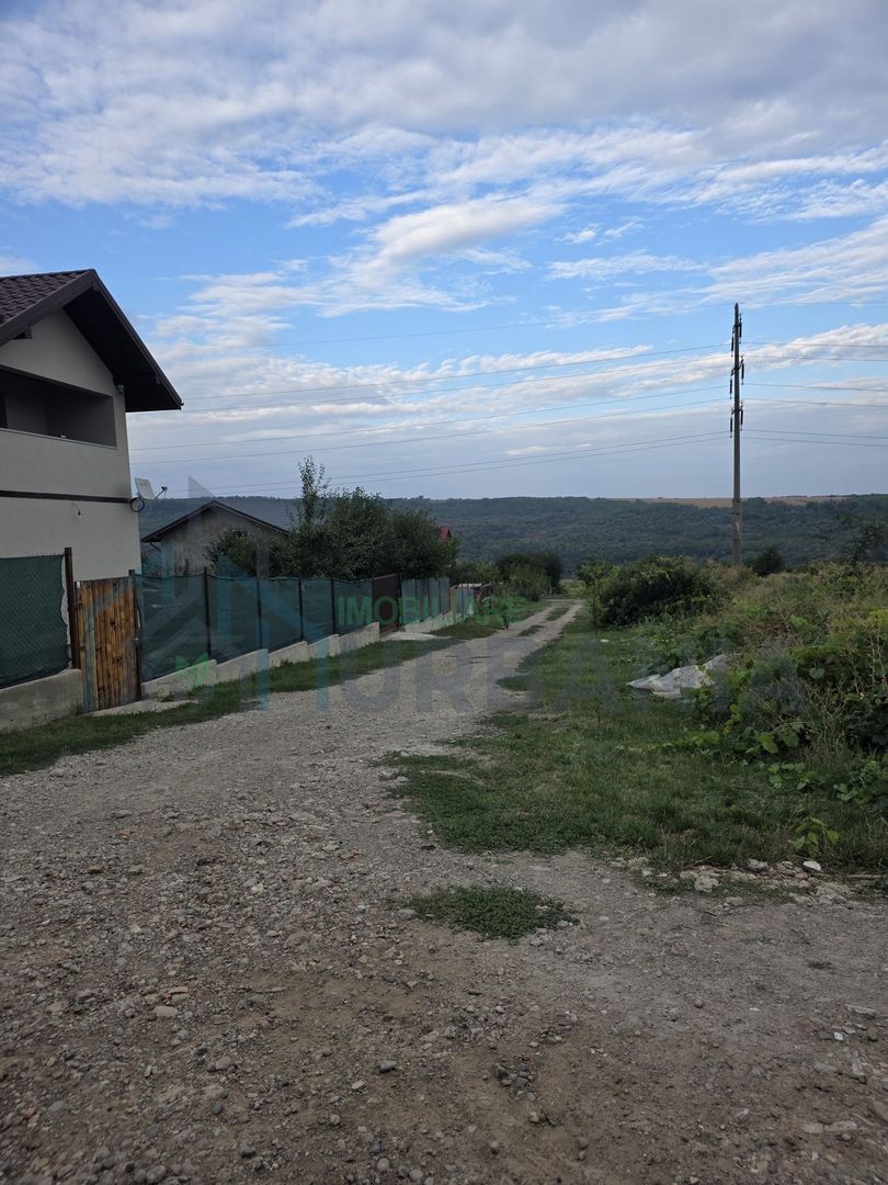 Teren intravilan de vanzare in Valea Lupului, Strada Rubinului - Poză 1
