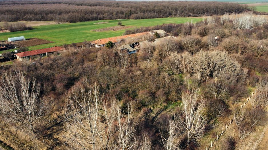 Ferma si livada de meri in judetul Ilfov - Poză 20