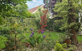 Vila 4 camere 220 mpu - 400 mp teren - Pipera / V Alecsandri - Poză 7