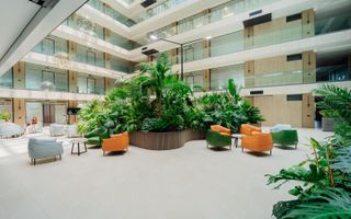 Spațiu Comercial de Închiriat pentru Birou 129,4 m² | Locație Premium Business | Chișinău, Centru, Str. Bulevardul Ștefan Cel Mare și Sfânt 115/1 - Poză 2