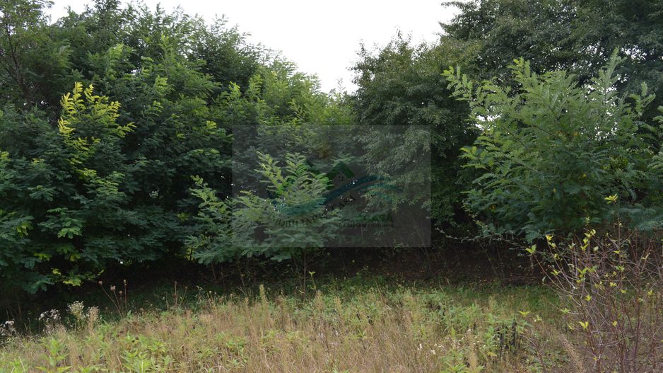 Casă de vânzare în Sfântu Ilie și teren 2000 mp - Poză 44