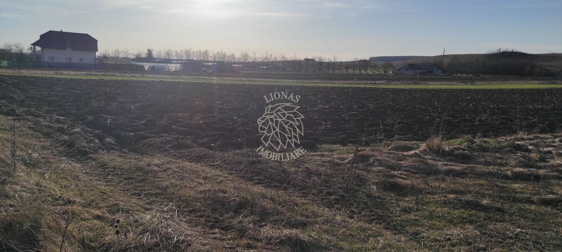 TEREN INTRAVILAN | LOCALITATEA LIVADA, COMUNA ICLOD, JUD. CLUJ - Poză 5