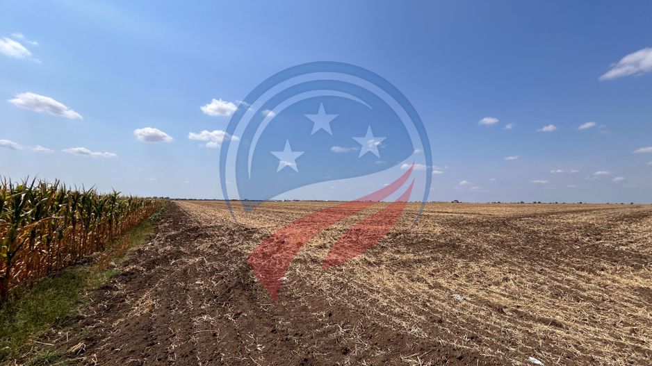 Teren intravilan 5087 mp de vânzare – Pielești - Poză 3