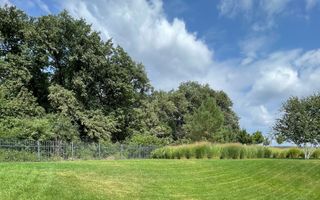 Dumbrava Vlasiei – Armonie între design, lumină și natură - Poză 9