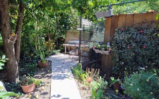 Copou - Lascar Catargi - aproape de IRO si Spitalul Spiridon, Oscar - Poză 2