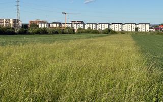 Teren extravilan de vânzare în zona Osoi – 2.650 mp | Front 10 m - Poză 2