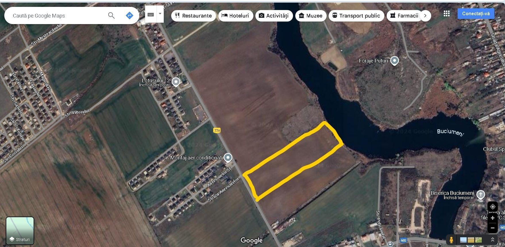 Teren pentru proiect de case in Buftea, cu deschidere la lacul Buciumeni - Poză 9