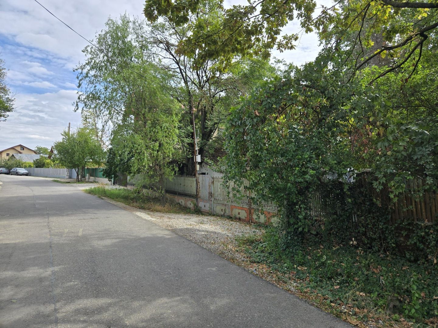 CREVEDIA - DARZA - TEREN 884MP I UTILITATI IN ZONA I COMISION 0% - IMOZONE | - Poză 3