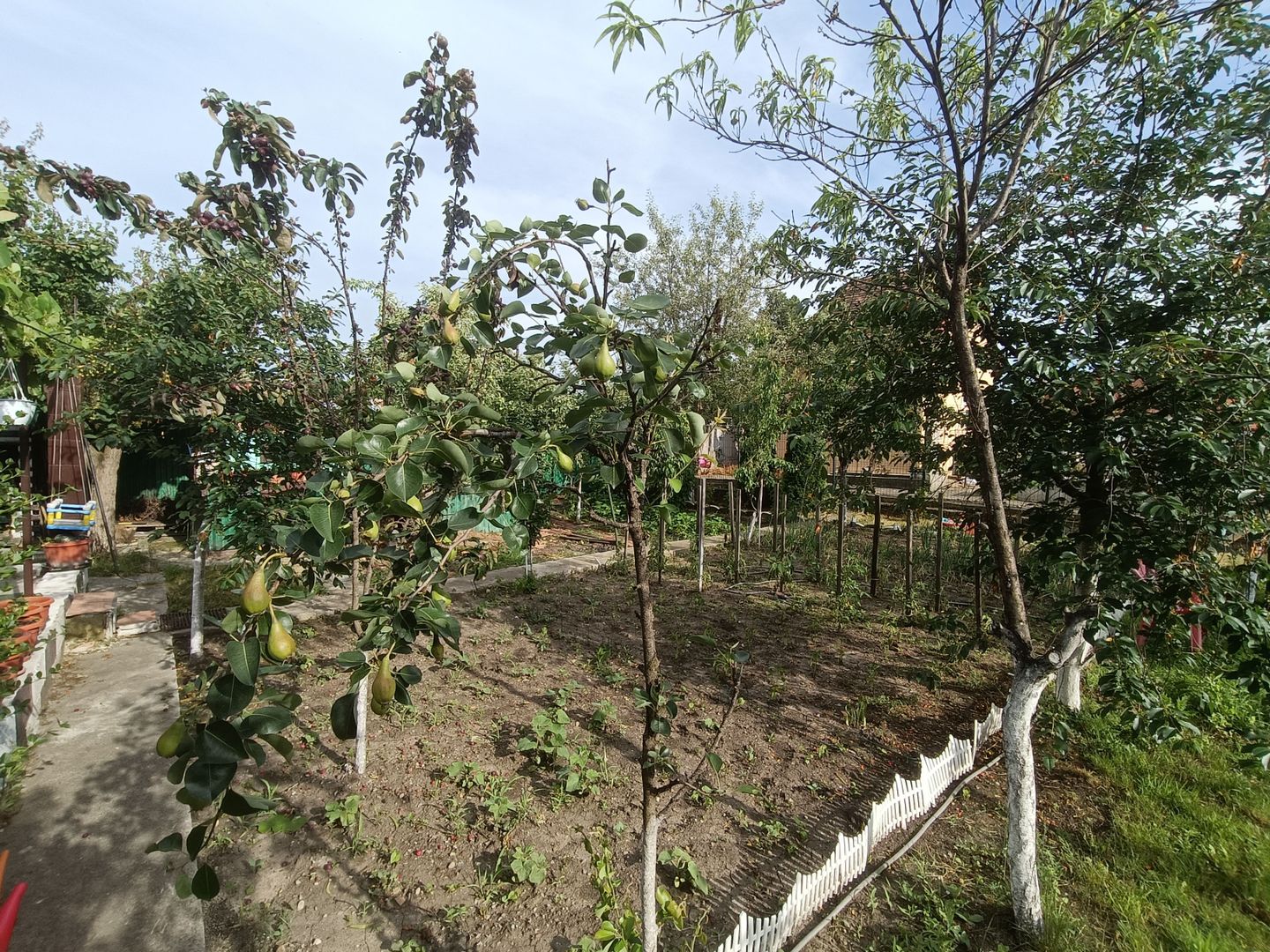 Casă de vanzare cu 4 camere 107 mpu pivnita anexe curte gradina Sebes - Poză 17