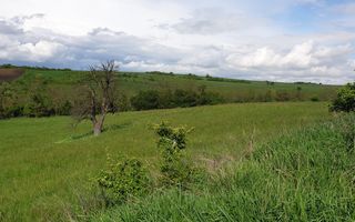 Teren | S+P+E | S+P+M | Intravilan | 9826 MP | Sura Mare - Poză 3