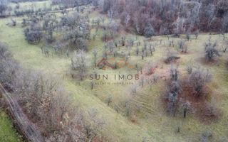 Teren 36000 m2, intravilan+partial extravilan, cadastru, Draganeasa PH - Poză 9