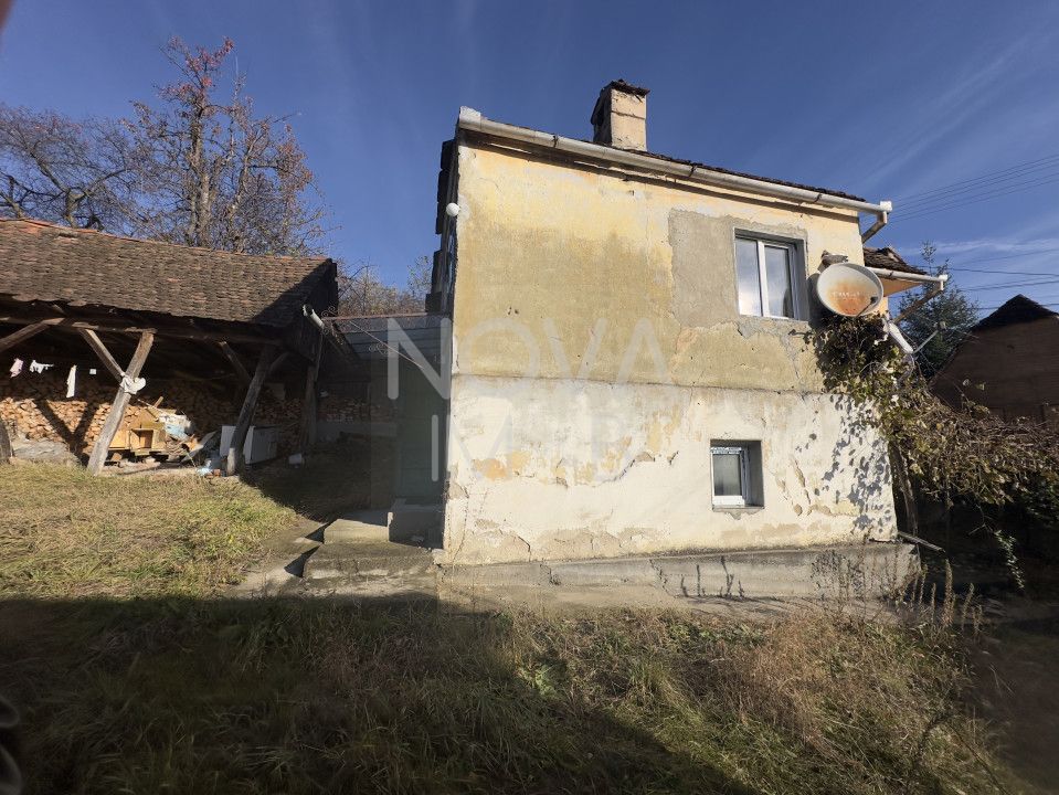 Casa individuala - Sat Vale, Saliste - Poză 8