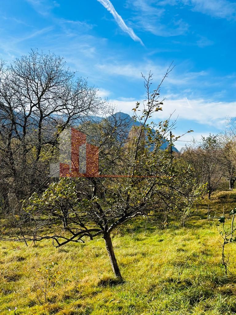 Teren Bran / Predelut cu priveliste 1840mp - Poză 12