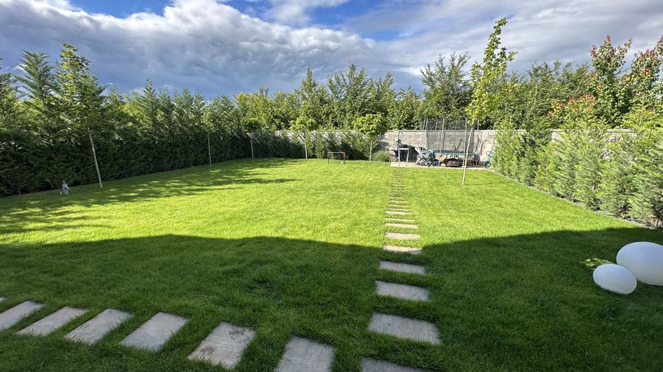 PROIECT  DEOSEBIT  IN  DUMBRAVITA - Poză 44