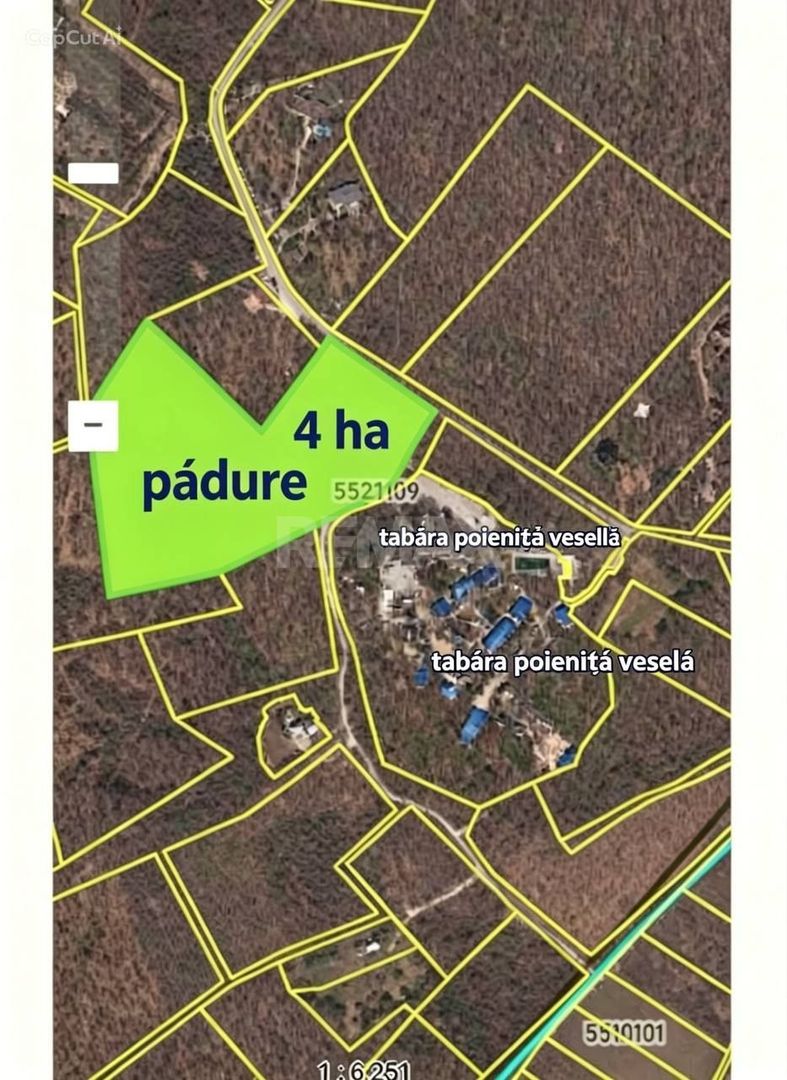 Chirie teren forestier -  4 ha direct la traseul Chișinău-Hîncești - Poză 2