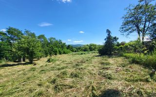 Teren de vânzare, Ciurea – 771 mp, intravilan, utilități - Poză 3