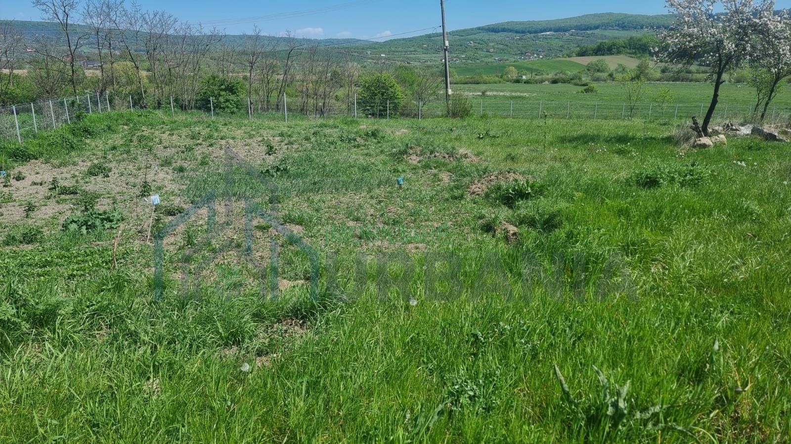 Teren de 1000 mp în Comuna Ciurea, Iași – Oportunitate de Investiție - Poză 3