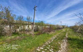 Teren extravilan, 22.5 ha, comuna Maureni - Poză 4