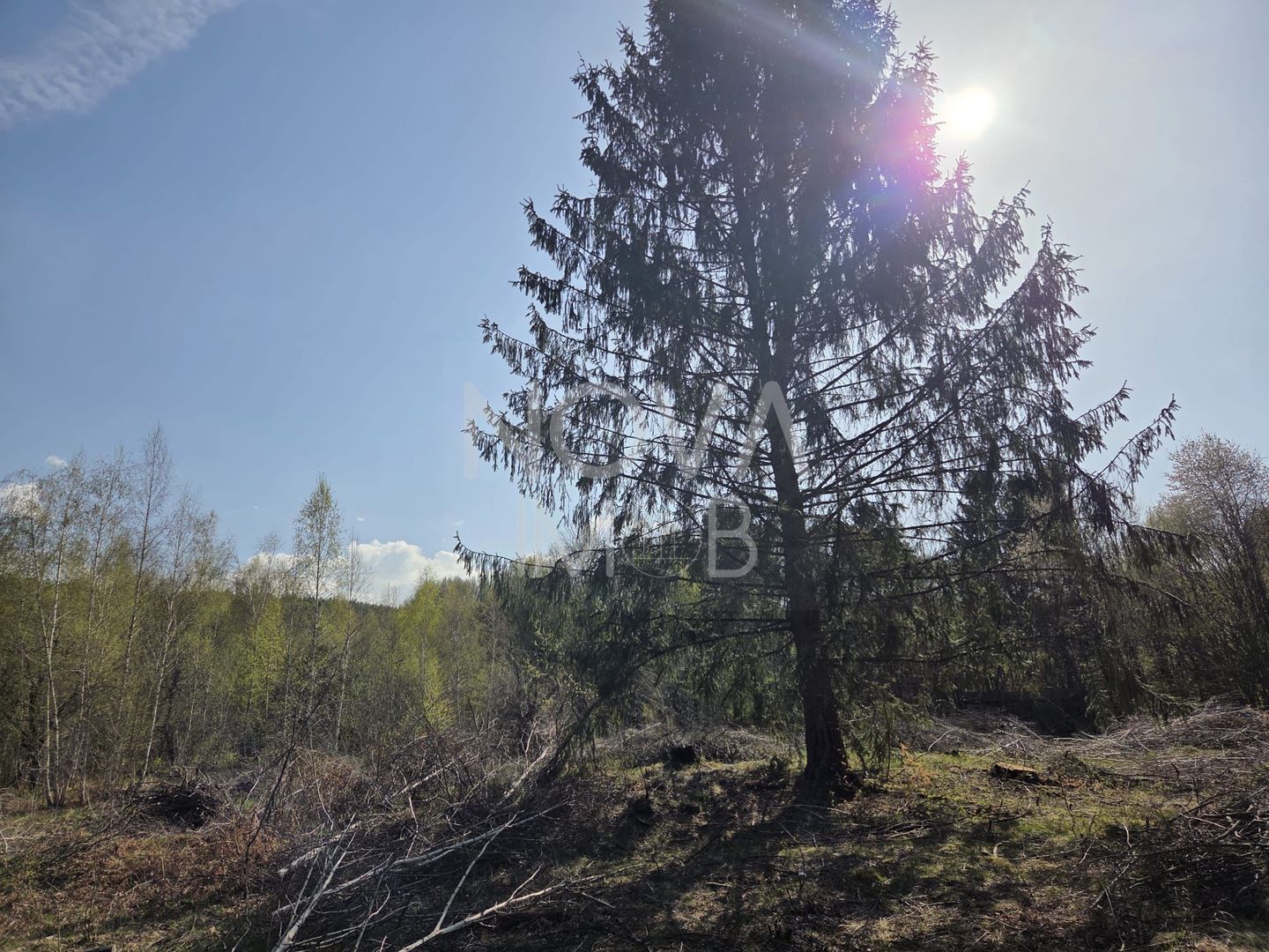 Teren intravilan de vanzare - Vistisoara - Poză 6