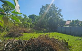 Teren 962 mp în Băicoi, Ideal pentru Casă sau Investiție - Poză 2