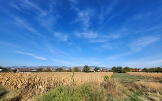 Te vanzare teren intravilan 2097mp, cu utilitati, Oarda de Jos - Poză 2