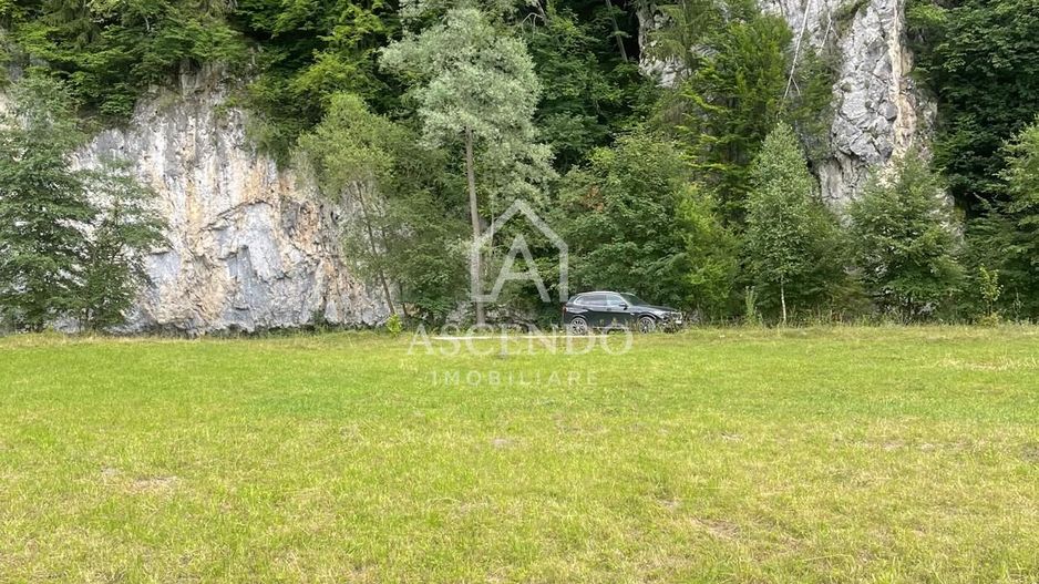 Teren pentru investiție turistică în Dâmbovicioara – Baranga | 4.500 mp | Front ~102 ml - Poză 11