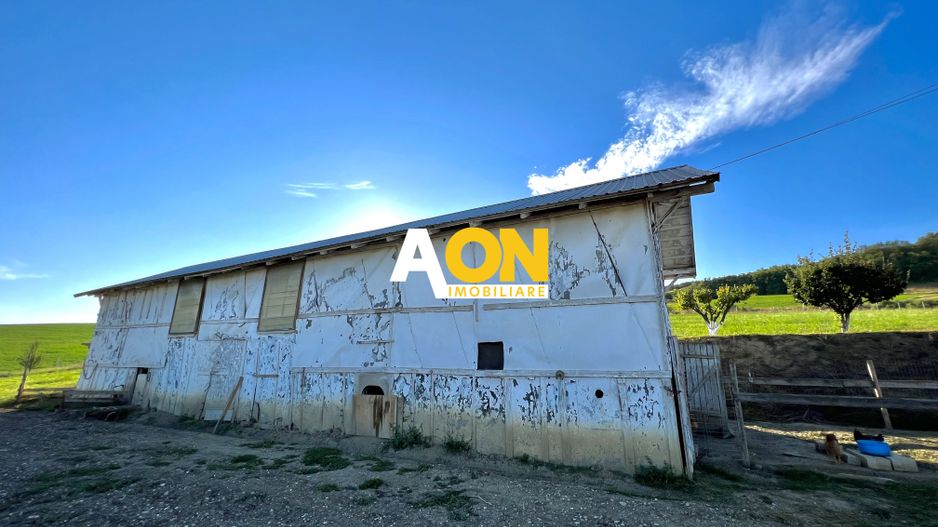 Ferma de vanzare cu 550MP utili si 27.500MP teren la asfalt - Poză 31