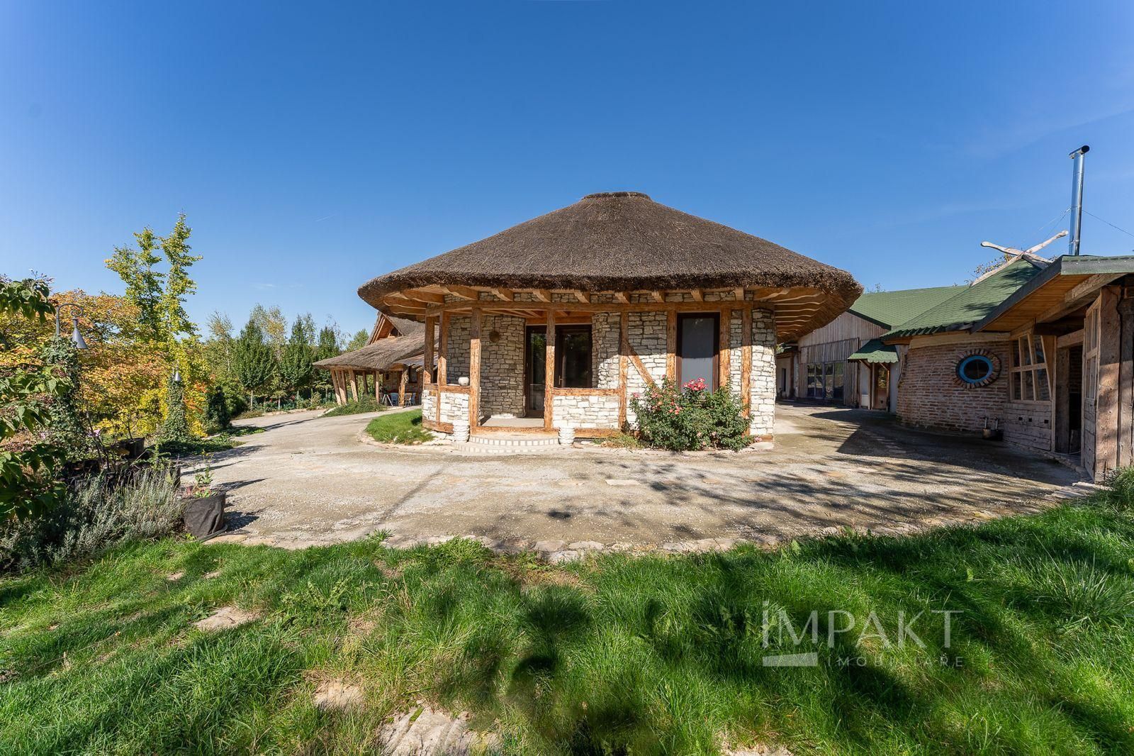 De vanzare casa unica pe teren de 3400mp, cu iaz si gradina - Borhanci - Poză 14