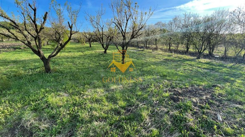 Tren Soporului Intravilan ,5500 MP Utilitati,  Oportunitate - Poză 3