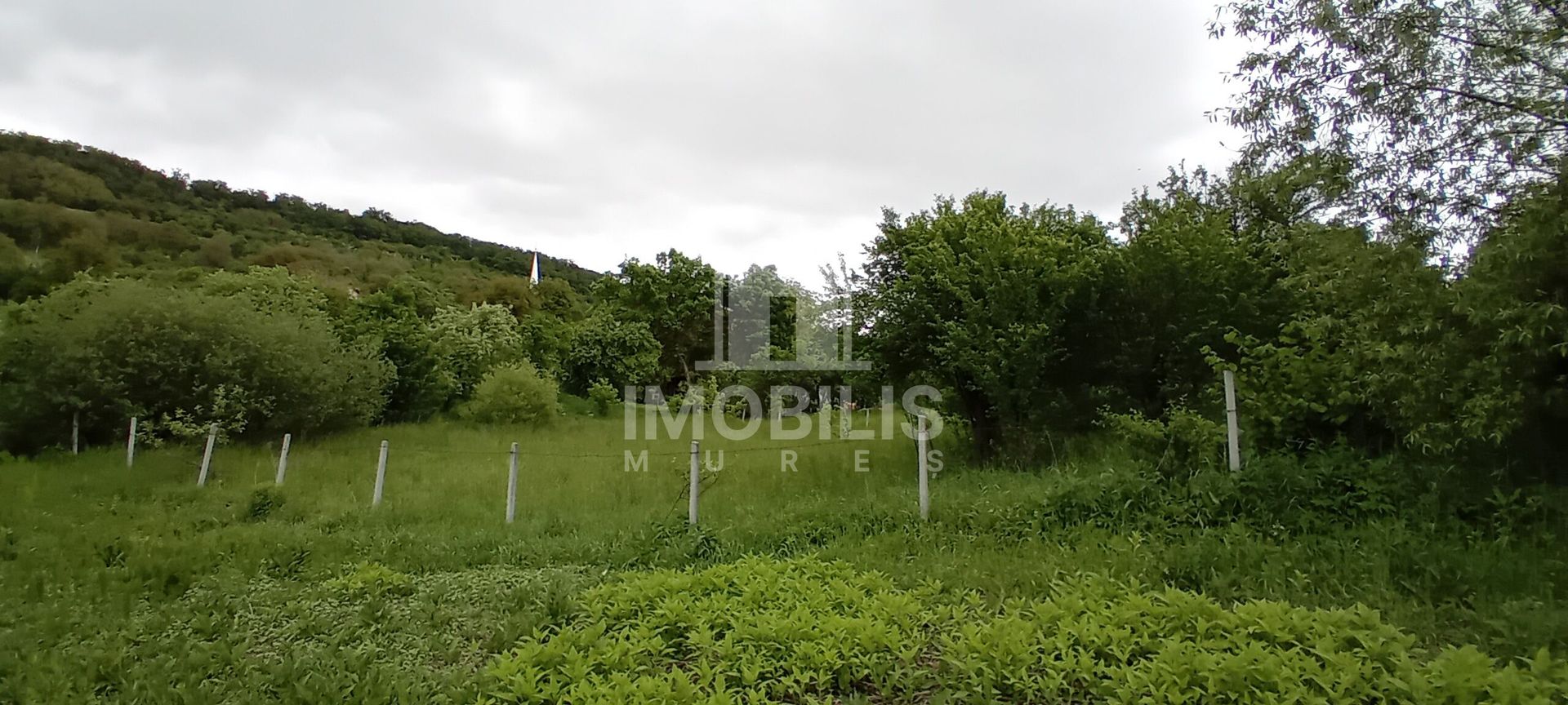 Teren intravilan | Budiu Mic | 994 mp - Poză 5