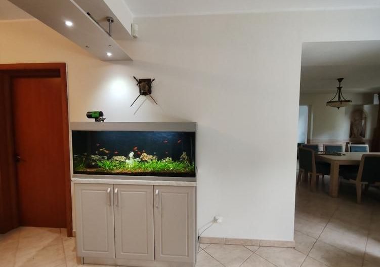 Vila de inchiriat | mobilata si utilata | Paradisul Verde -Corbeanca - Poză 8