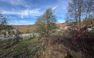 TEREN INTRAVILAN 13167 MP BUGHEA DE SUS ARGES - Poză 13