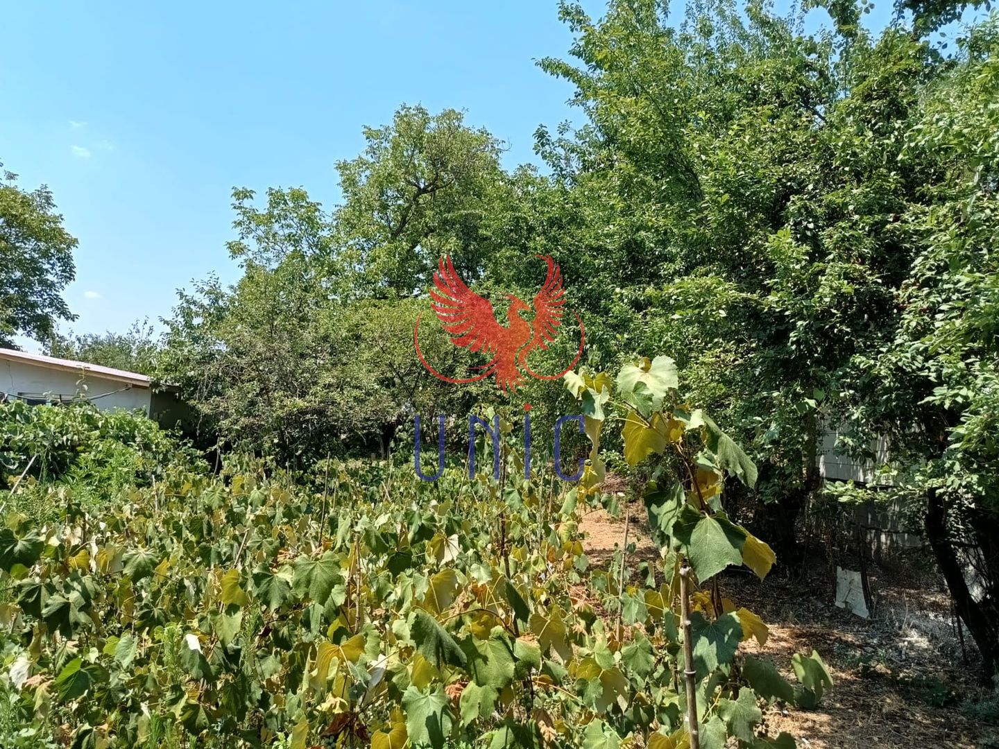 Teren 980 mp, 2 deschiderizona Drumul Muntenilor pret excelent - Poză 2