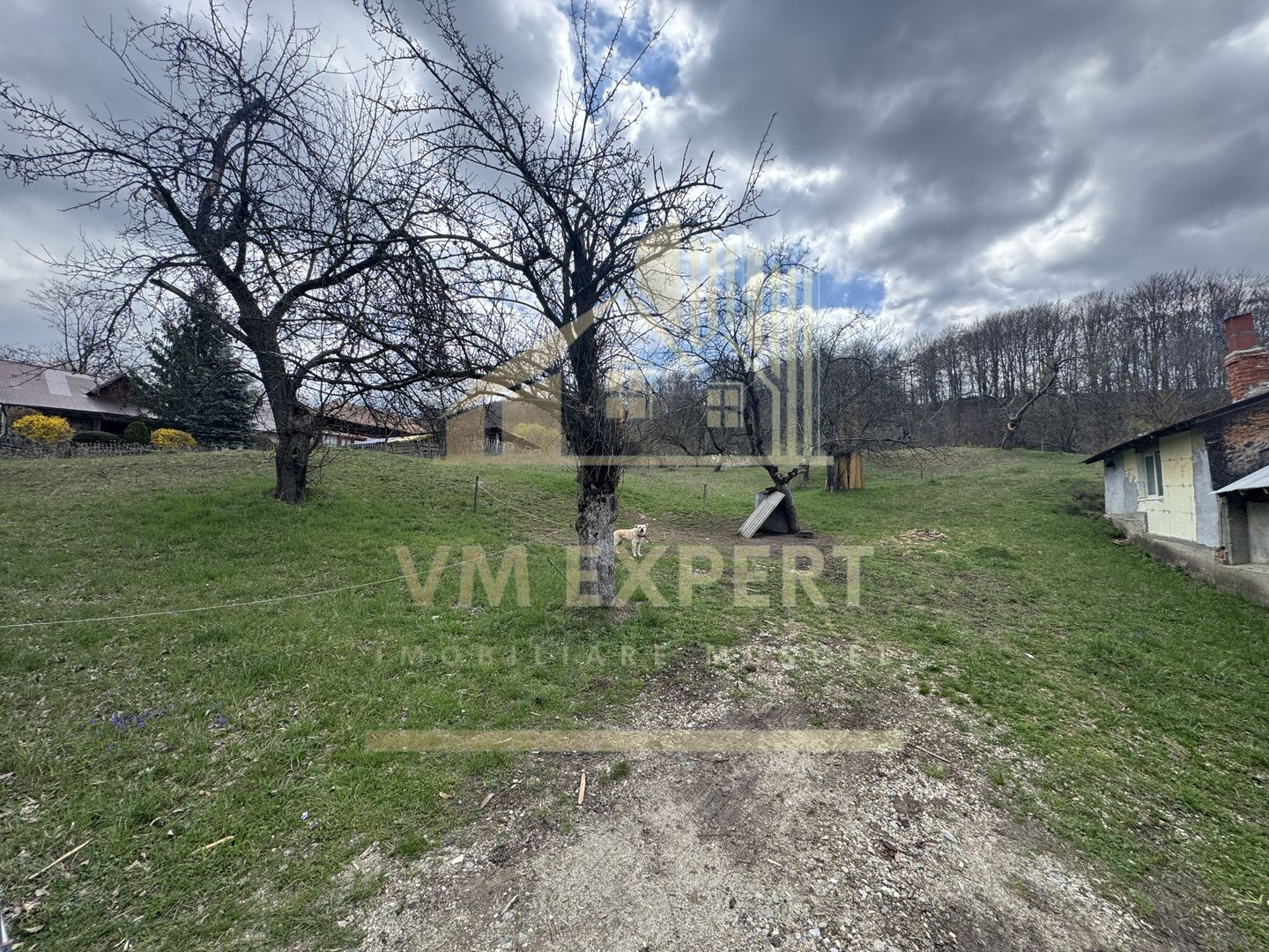 TEREN INTRAVILAN 4365 MP POENARII DE MUȘCEL  JUDEȚUL ARGES - Poză 10