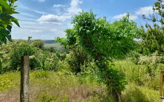 Casă cu teren de 1.470 mp de vânzare – Fântânele, Scânteiești - Poză 41