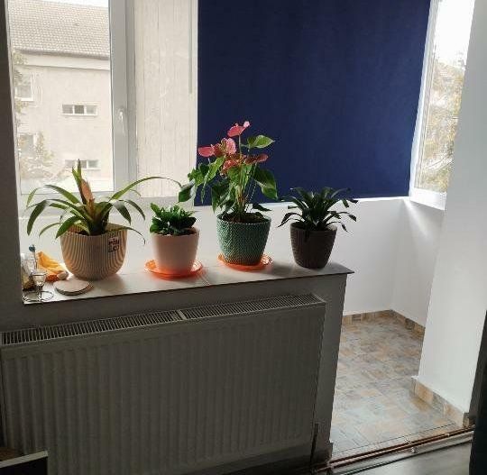 2 camere decomandat 2 balcoane centrala proprie Dorobantilor - Poză 2