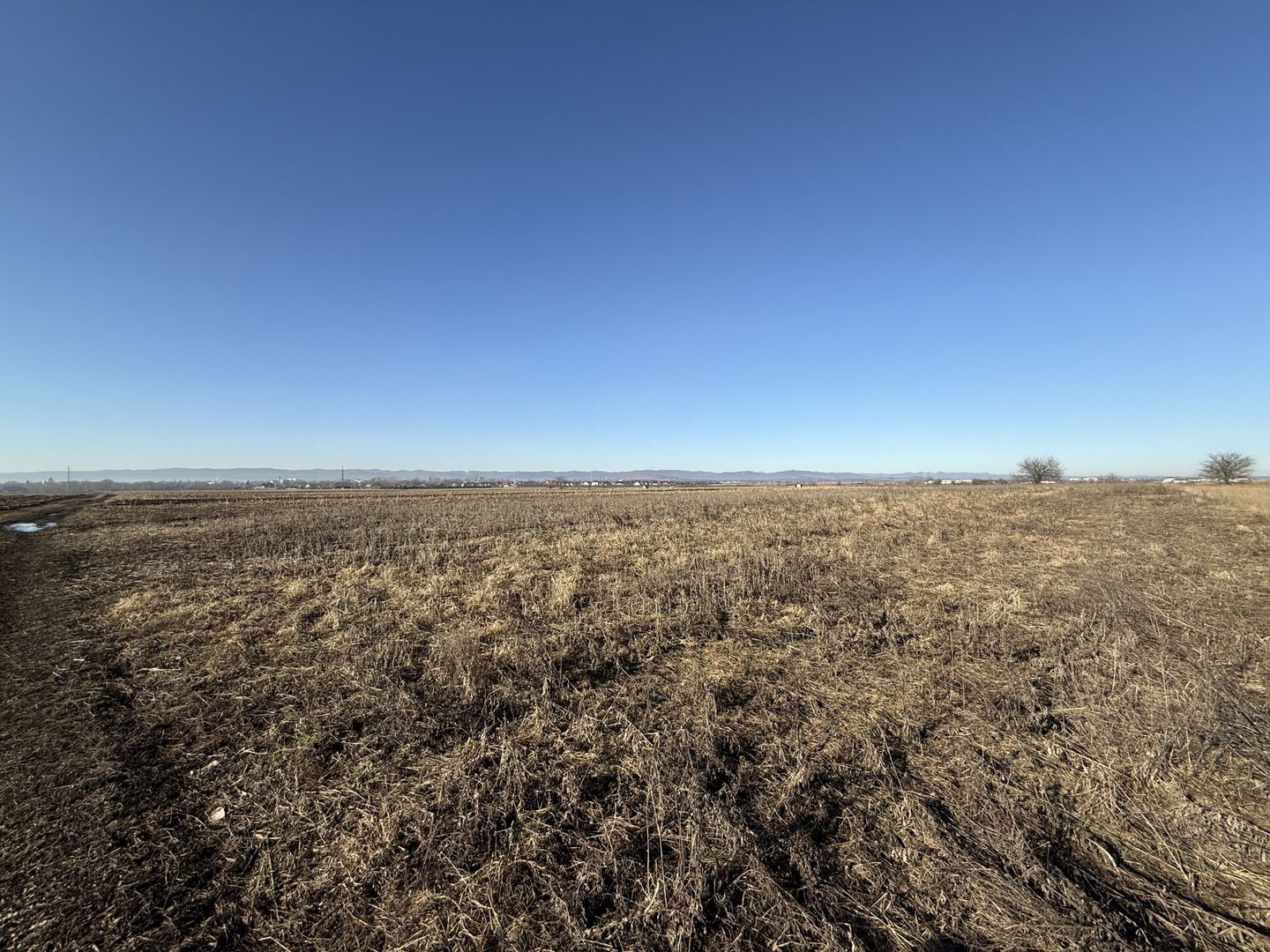 Teren extravilan | Rădăuți | 600 m de centură | 20 m front - Poză 5