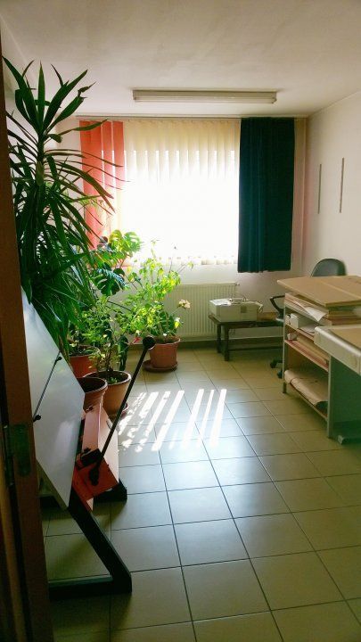 Casa/Vila/Spatiu comercial  Rahova-Sos.Salaj - Poză 13