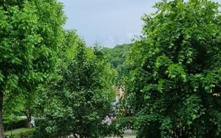 Apartament 2 camere modern | Centrul Civic - Poză 4