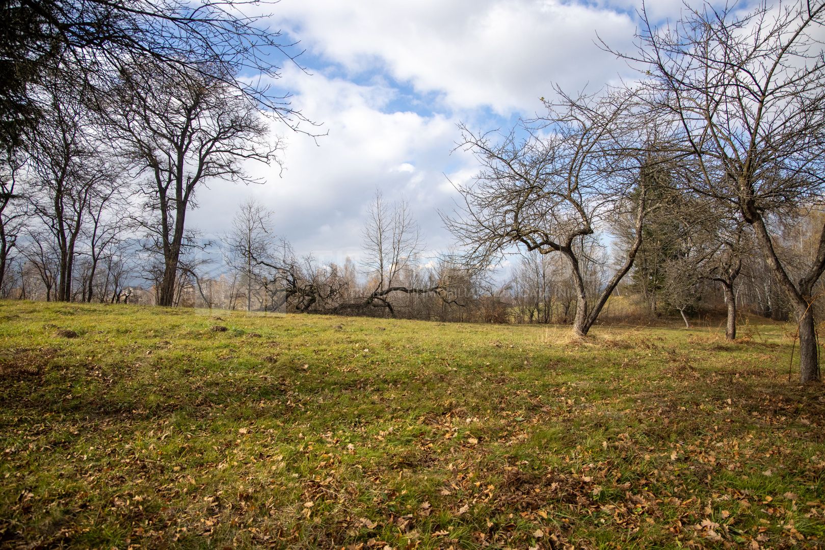 Teren intravilan, cu PUZ, Bran Tohanita,  SE ACCEPTĂ ȘI SCHIMB - Poză 21