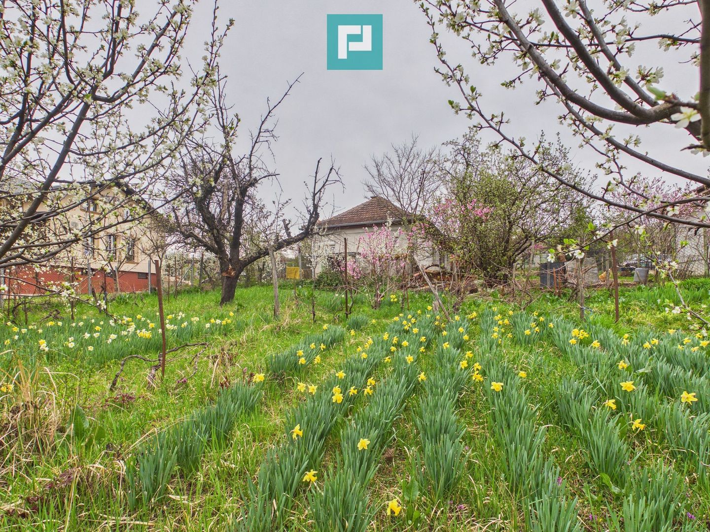 Ieftin - Casă cu teren 842mp, zona Dealuri, Oradea - Poză 15