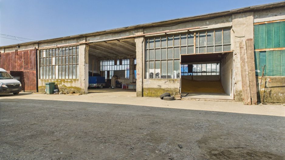 Complex industrial cu hale și teren  în Orțișoara - Poză 11