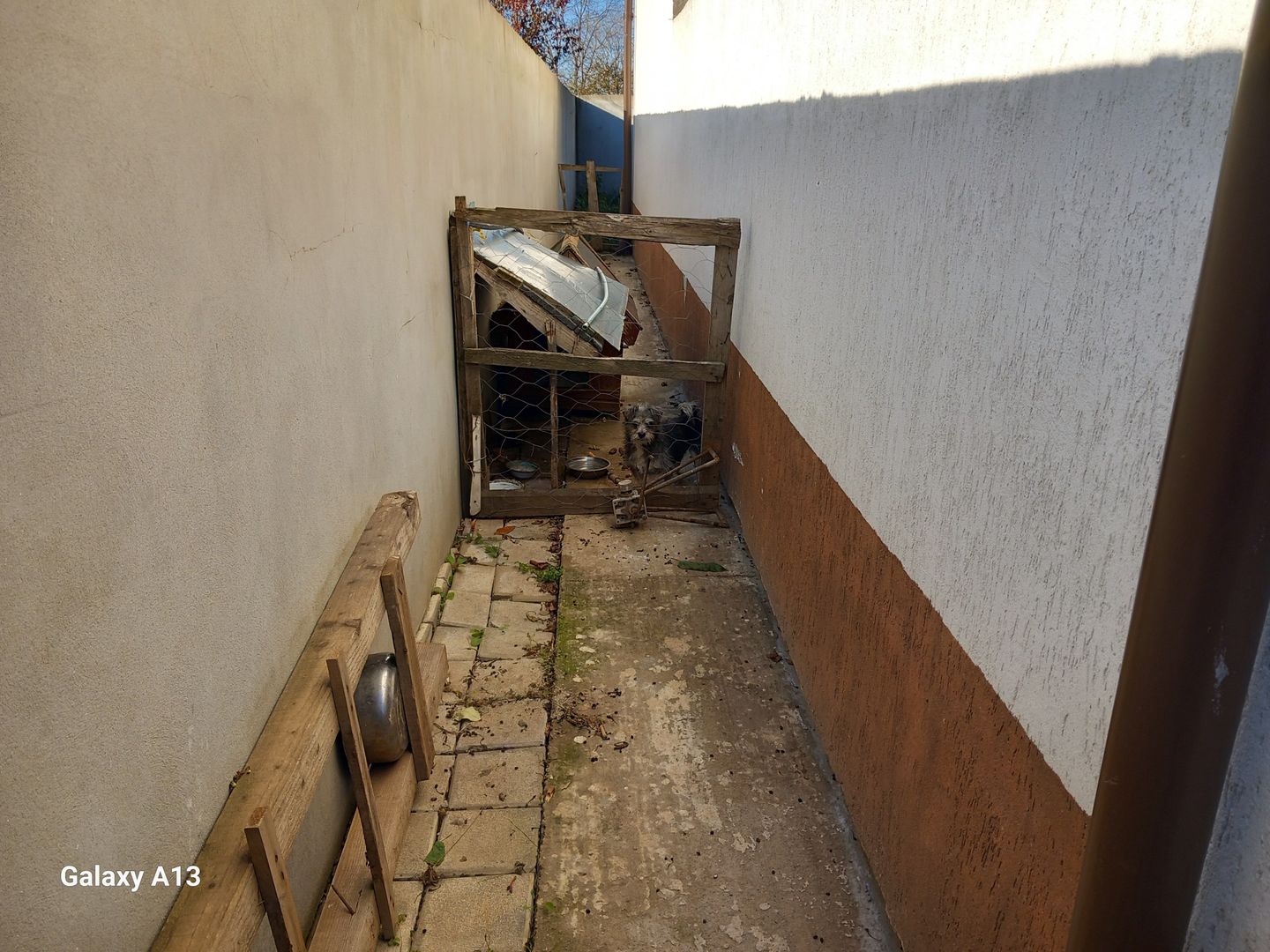 Ag BRASADAS vinde casa individuala 5 cam orasul PANTELIMON. - Poză 21