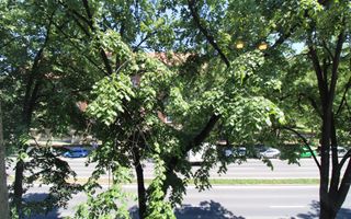 La prima inchiriere; centrala proprie/clima, Politehnica-UVT. - Poză 16