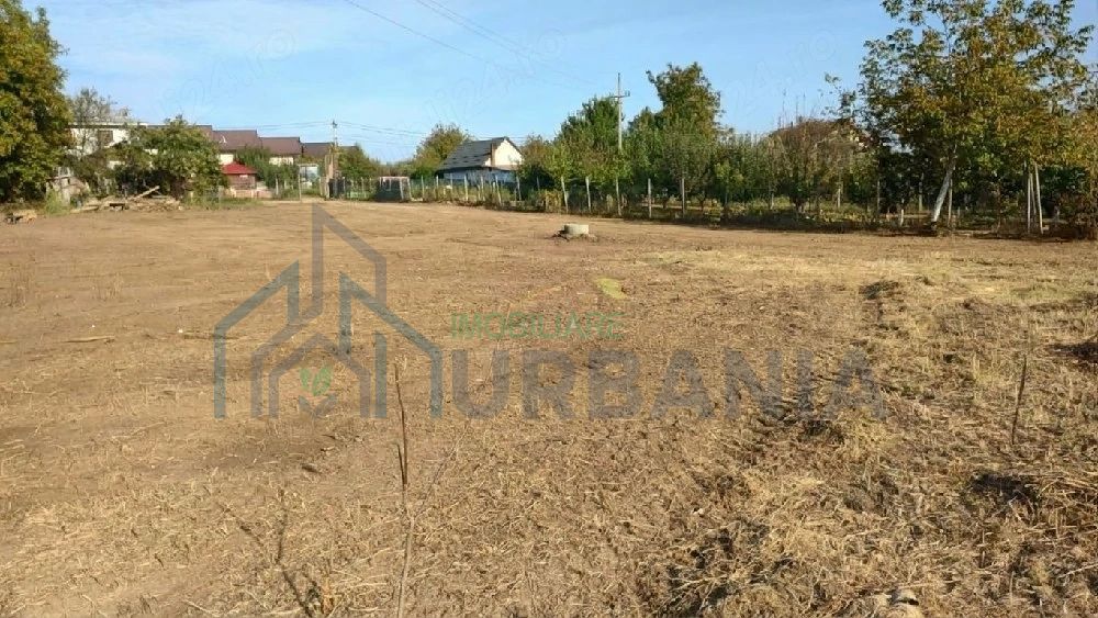 Teren intravilan 3600 mp Ciurbesti, Miroslava - ideal pentru proiect imobiliar, schimb posibil - Poză 5