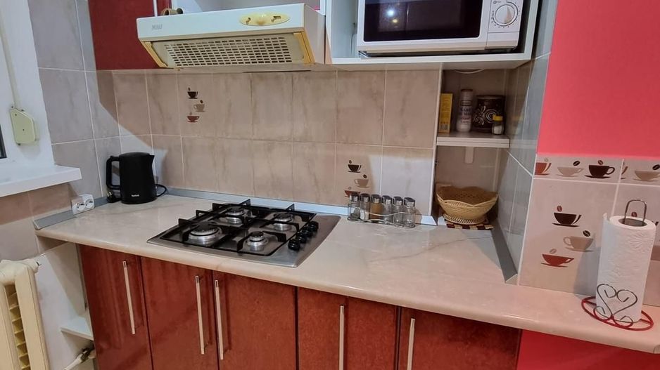 Apartament cu 2 camere, mobilat si utilat - Tiglina 2, parter langa IPJ - Poză 2