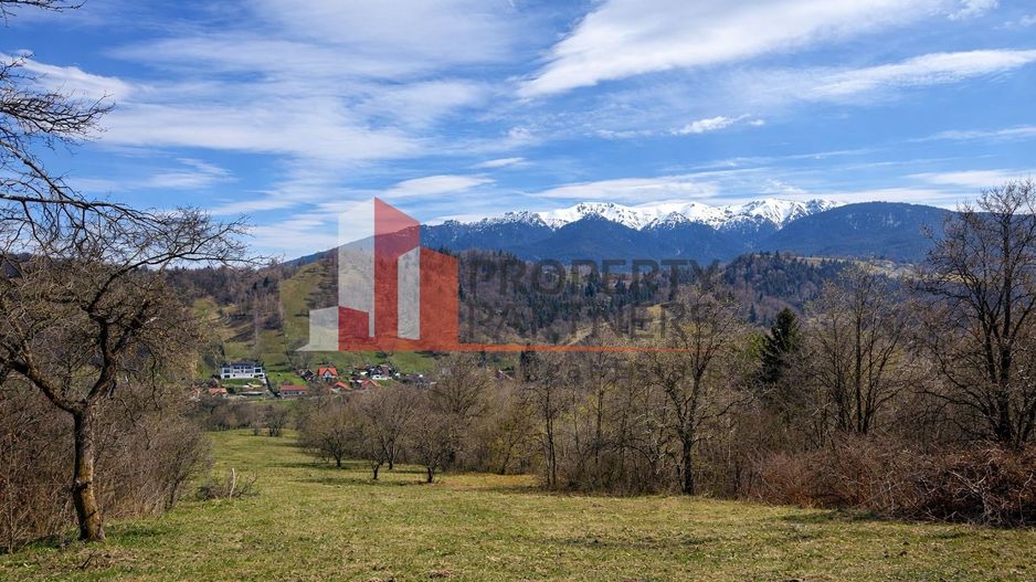 Casă autentică cu teren de 11.150 mp – Bran, Șimon | vedere Bucegi - Poză 9