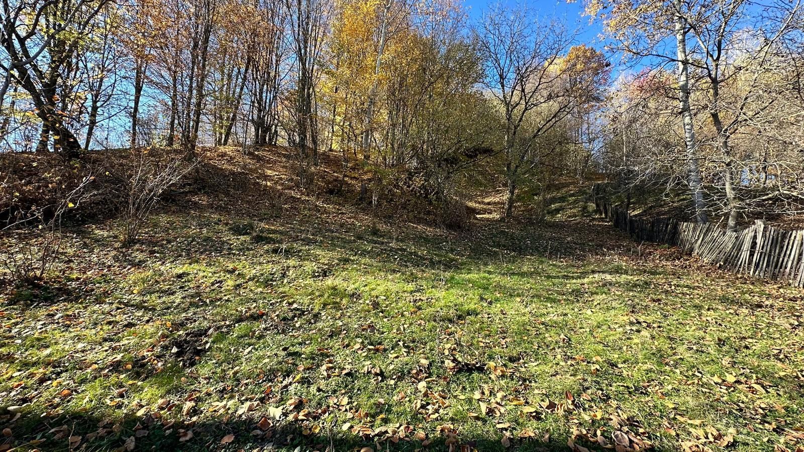 Teren 4044 mp, deschidere 60m, la 18 km de Campina, asfalt si curent - Poză 5
